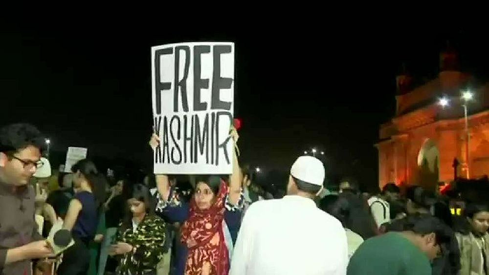 Mumbai Girl Apologises For 'Free Kashmir' Placard After Controversy