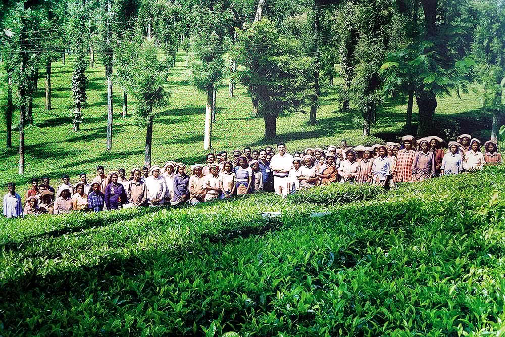 Nutrition Warriors | Prasanth Nair's Masterstroke That Arrested Hunger In A Wayanad Tea Estate