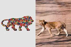 Think Indian Dot Com