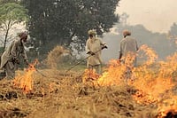 Stubble Burning, Pollution, And Politics