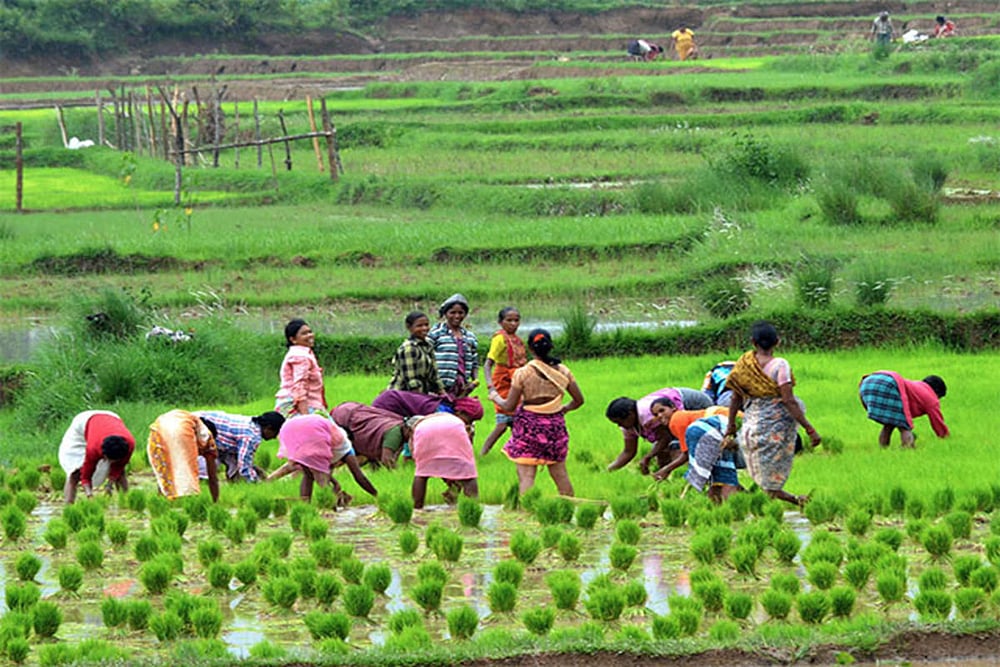 Why It’s Essential To Empower Women Farmers In Agribusiness Value Chains