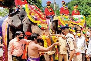 Covid Cloud Over Dasara