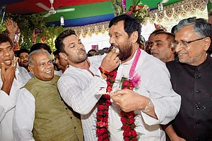 Bold Gamble By Lamplight