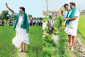 Locked In A Stately Duel