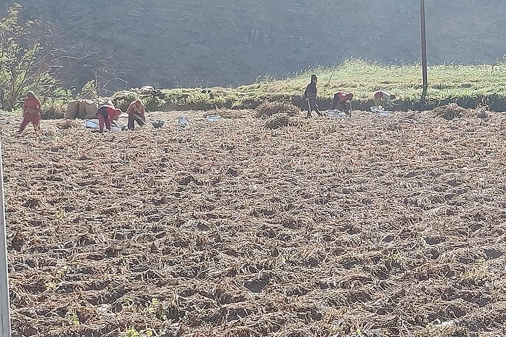 Litter And Spice: The Two Sides Of The New Rohtang Tunnel