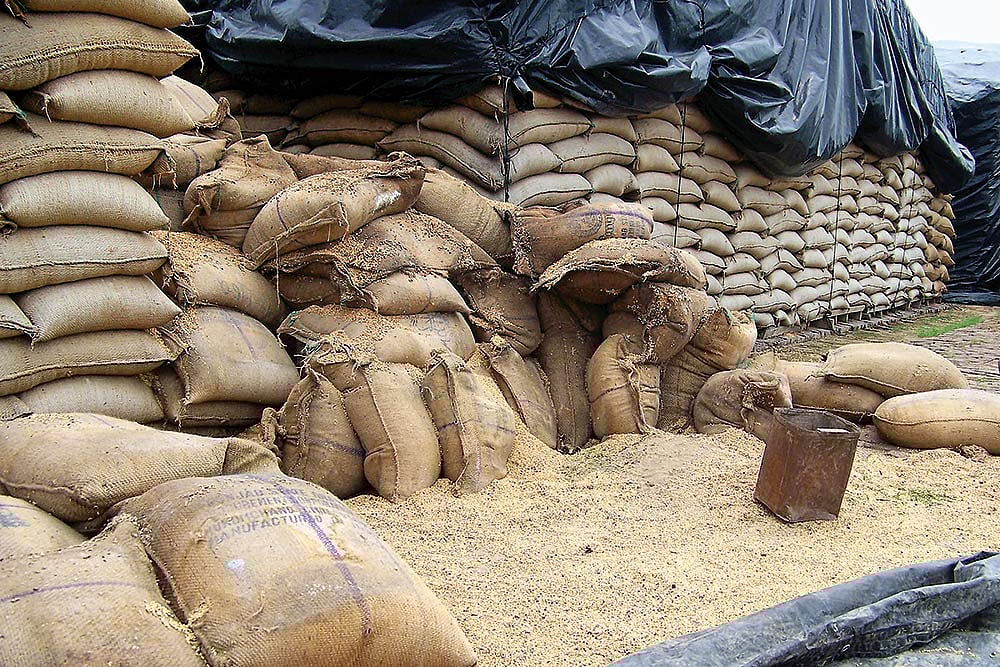 5,200 Bags Of PDS Rice Seized From Two Private Mills In Punjab