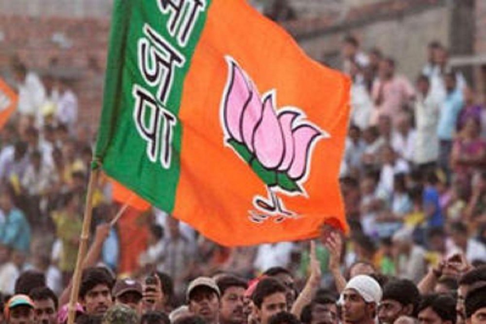 Gujarat Bypolls: BJP Wins All 8 Assembly Seats