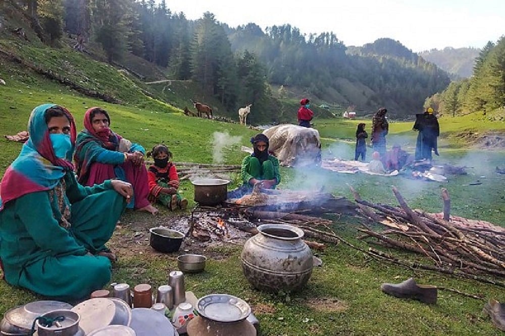Under Scanner For Anti-Nomad Policies, Kashmir Govt To Implement Forest Rights Act