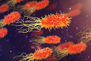 You Thought Covid Was A Threat? Antimicrobial Resistance Is A Close Second