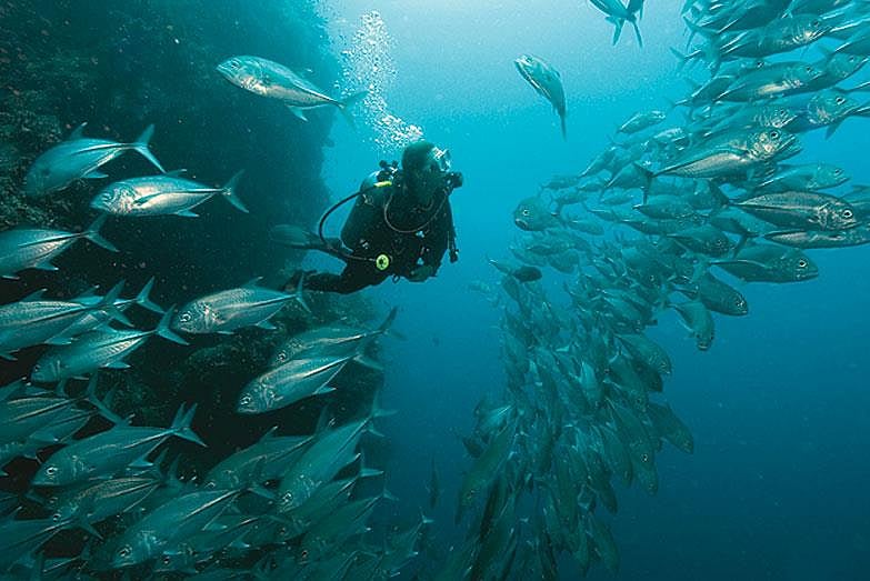 Deep Ocean Mission: India To Launch New Mission To Explore Energy Underwater