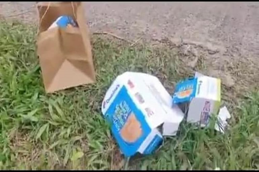 Tourists Who Dumped Pizza Boxes On Karnataka Road Made To Go Back 80Km To Pick Up Trash