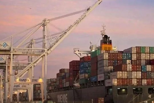 Agri, Pharma Exports Grew During Covid-19 Pandemic: Commerce Secretary