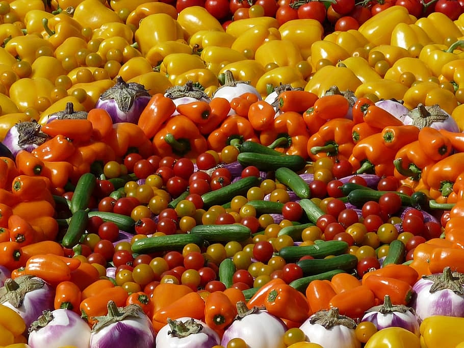 Diversity In Food Intake Curbs Malnutrition