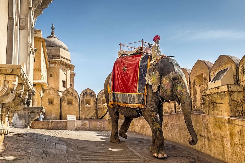 Rajasthan CM Announces Rs 4.2 Cr Relief For Elephants And Caretakers