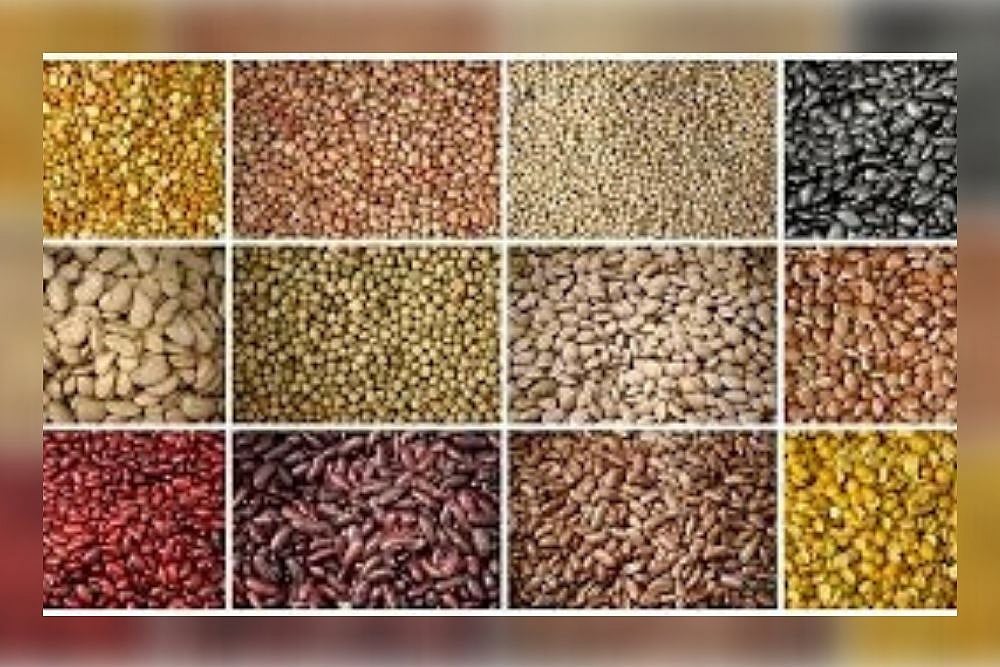 Pulses For A Healthy Body And Mind