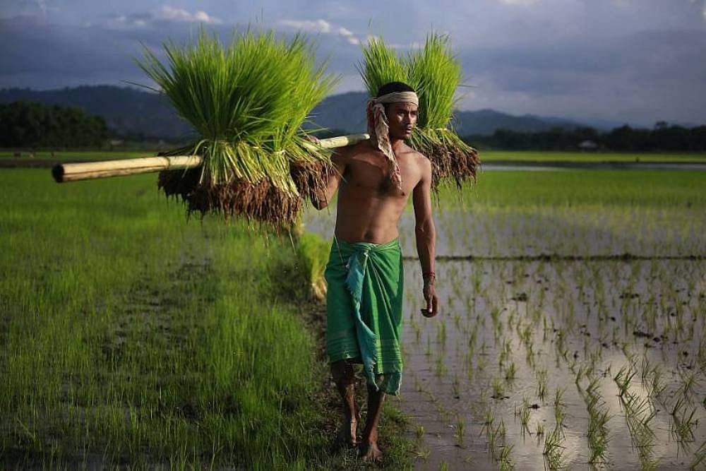 Measures In Budget 2020 Consistent With Promise Of Doubling Farmers' Income By 2022