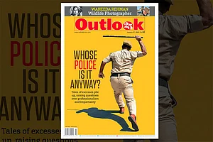 Whose Police Is It Anyway?