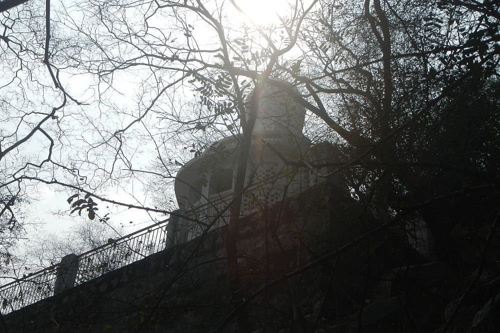 Protecting Mangar Bani: There’s A Need To Empower Local Community To Save Sacred Grove