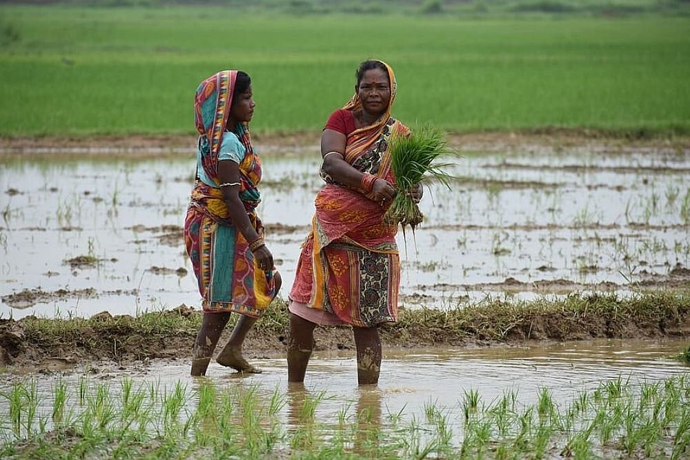 Odisha Leads Way With Climate Budget