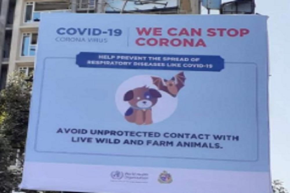 Hundreds Of Pets Abandoned In Mumbai After WHO Hoardings On Coronavirus Trigger Panic