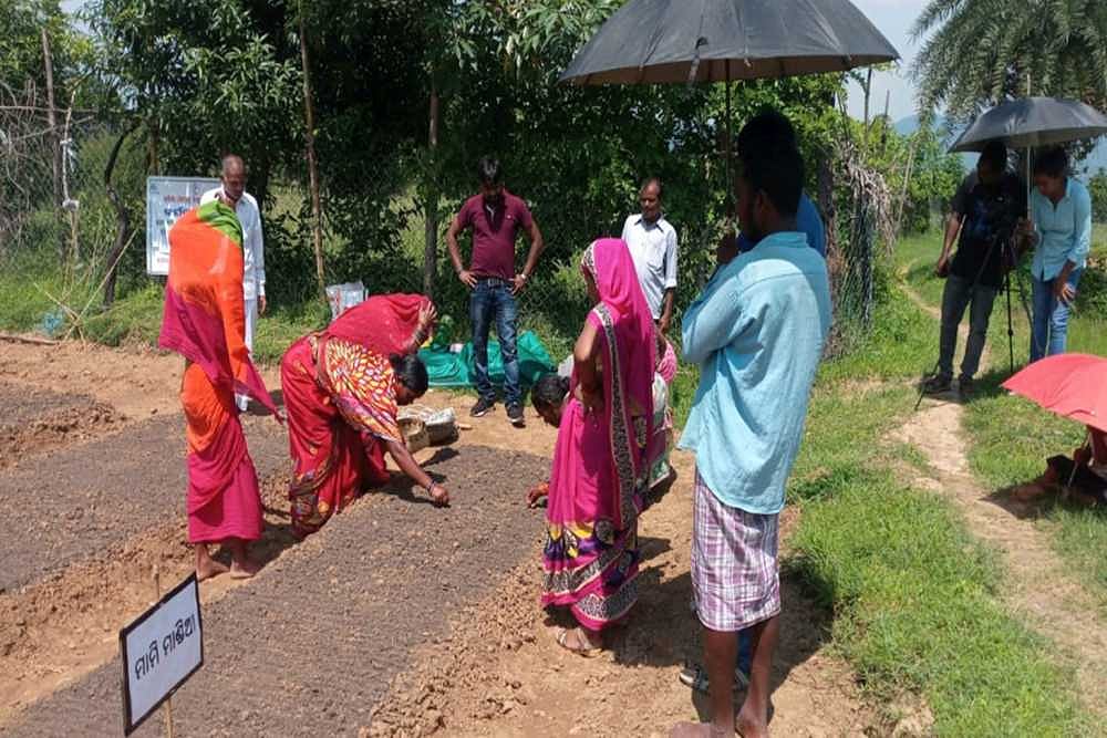 Orissa Sees Potential In ‘Nutrition Education on Wheel’ Model