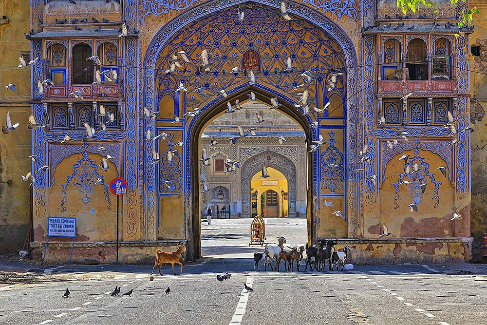 The Outdoorsy Longing