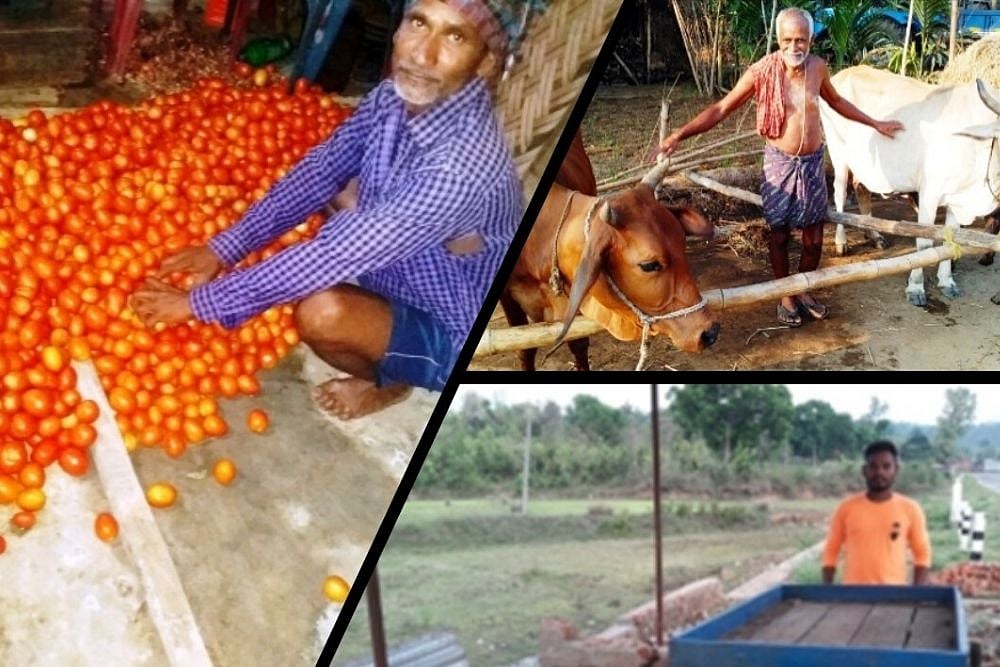 Forget Nutrition, These Odisha Villagers Face Starvation