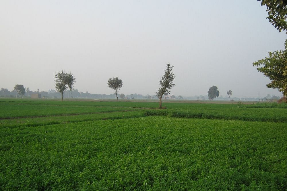 Ensuring Nutrition Through Proper Agriculture