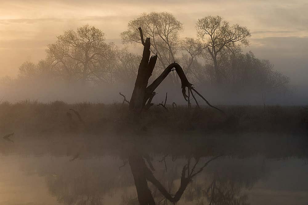 Opinion | Grief Is Not An Event, It Can’t Be Cancelled Or Postponed.