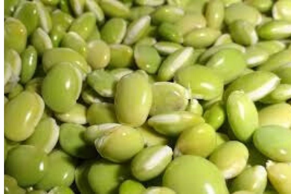 Who Says Protein Is Expensive?