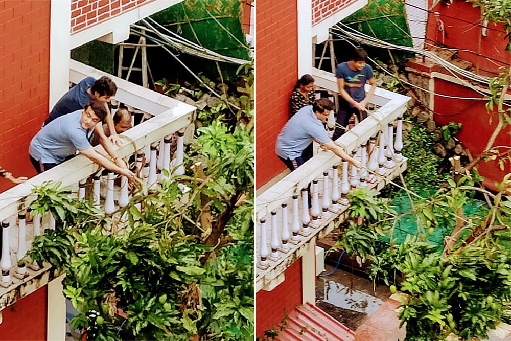 Sourav Ganguly's Love Story With 'Balcony' Continues, This Time With Mango Tree