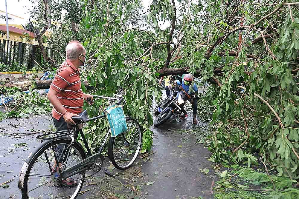 Amphan Diary: How A Jurassic Storm Uprooted Bengal's Trees And Lives In One Evening