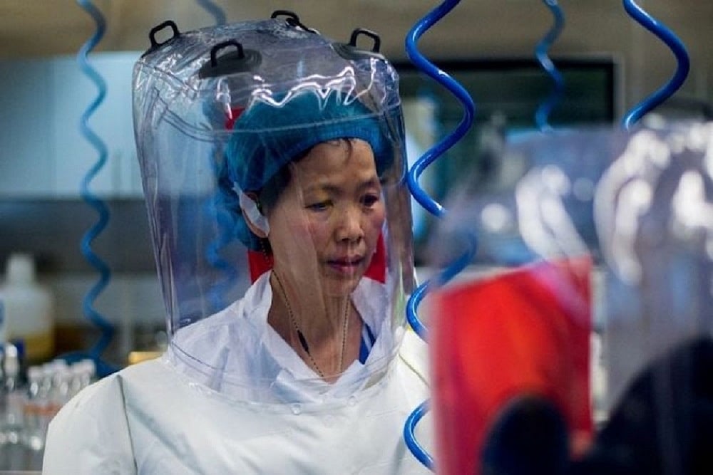 Shi Zhengli, also known as the “Bat Woman”.  