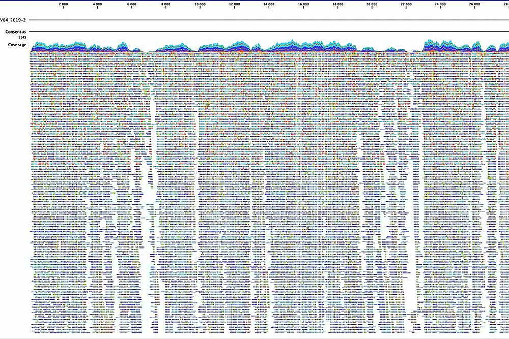 Why Does Science Come Last?