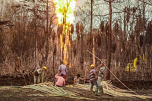 Assam Calls In More Foreign Experts To Contain Flaming Oilhead