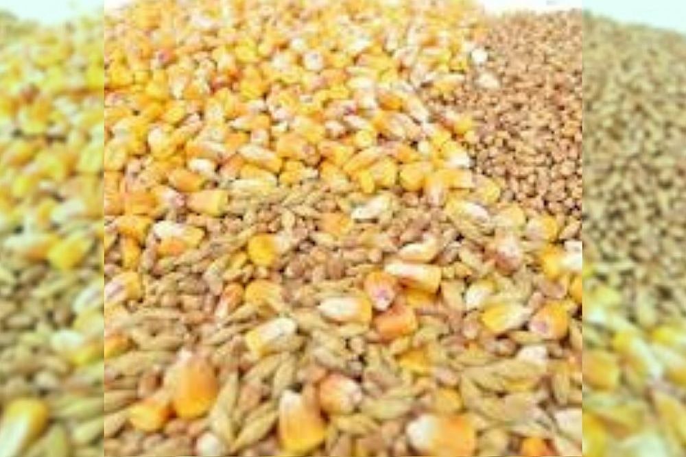 Can Whole Grains Help Prevent Diabetes?