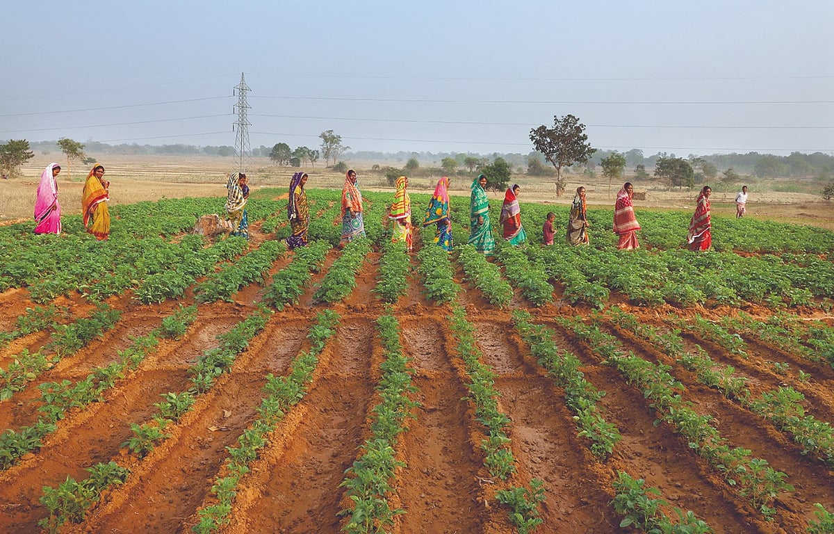 UK-India Join Hands To Cope With Climate Change Distress