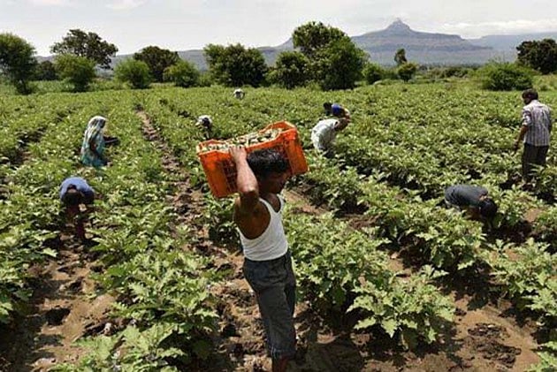 Unseasonal showers were witnessed in parts of Gujarat,state agriculture department has issued an advisory for farmers to take precautionary measures to protect their crops 