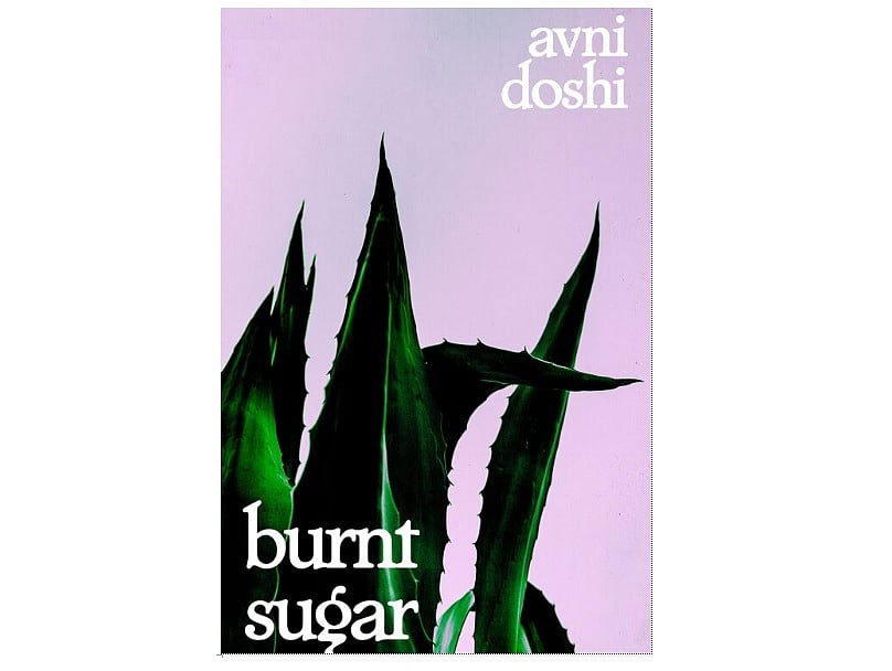 Indian-origin Avni Doshi Among 13 Authors On 2020 Booker Prize Longlist