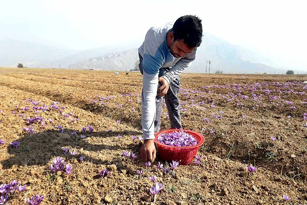 No Sign Of Respite As Security Lockdowns, COVID And Militancy Keep Robbing Kashmiris Of Revenue
