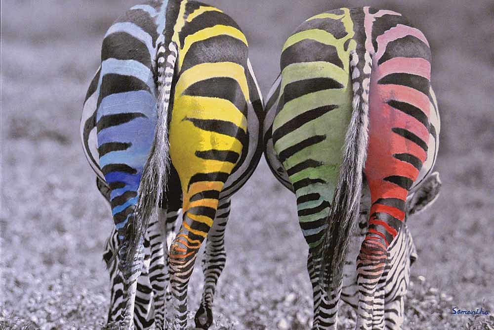 Opinion | The Many Suicides Of Ilaichi.... India's LGBT Are Not Yet Full Citizens