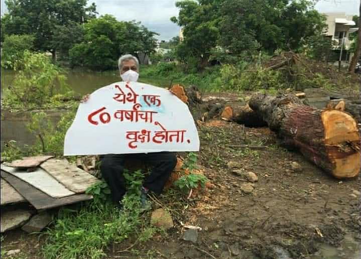 70 Trees Lopped Off, 170 More Could Face Axe For Road Widening Near Gandhi Ashram