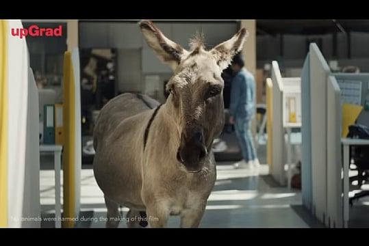 Complaint Filed Against upGrad’s ‘Don’t Lick Ass’ TV Commercial
