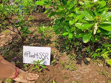 Dhami Asks Kanwariyas To Plant Saplings