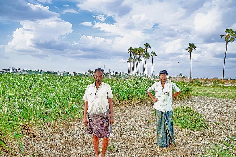 How Malnutrition Defines A Nation’s Health