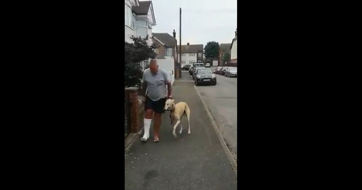 Owner Spends £300 To Treat His Dog's Limping; Finds Out He Was Copying Him Out Of Sympathy