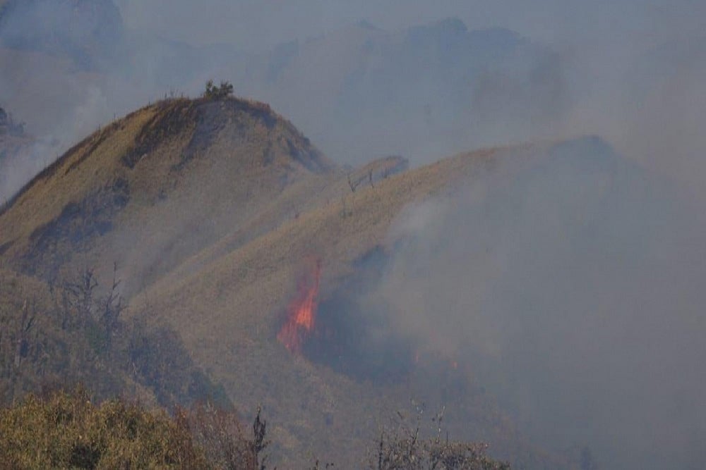 Nagaland's Dzukou Range Wildfire Under Control: Officials