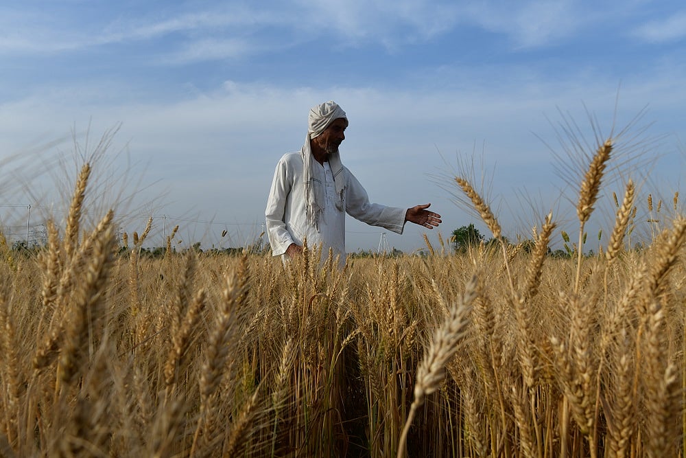 WTO Report Supports Narendra Modi’s Farm Laws