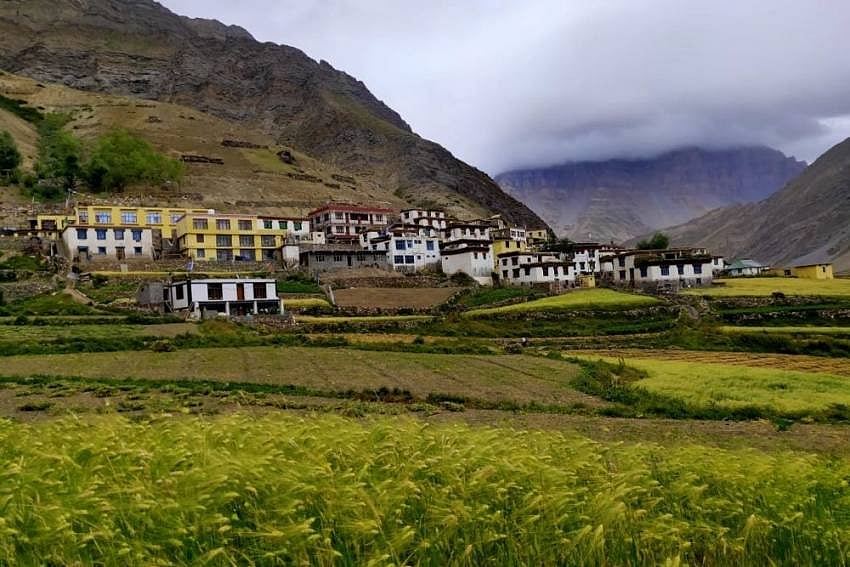 Feral Dogs Pose A Threat To Biodiversity In The Cold Deserts Of Spiti