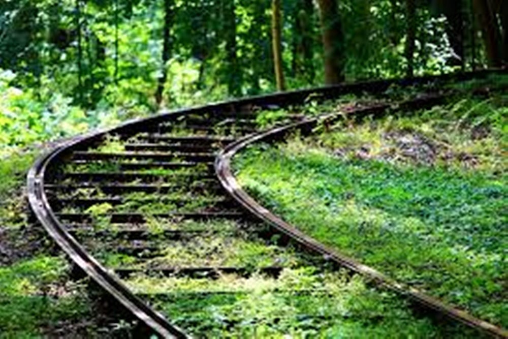 Another Environment Crisis? Wildlife Board Gives Approval To Rail Tracks Through Western Ghats